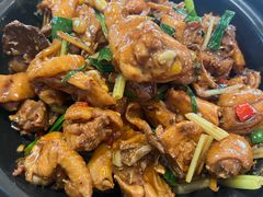 现杀果园鸡—黄焖鸡-生态苑农庄(十里画廊遇龙河店)