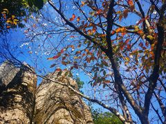-山王坪喀斯特国家生态公园