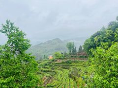 -杨家堂村