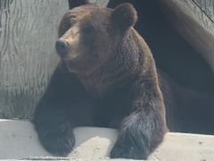 -哈尔滨北方森林动物园