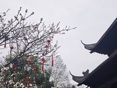 -钱王祠