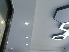 -博特宠物医院24h犬猫全科.骨科·异宠