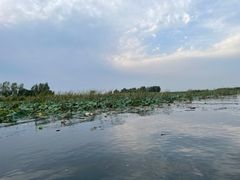 -白洋淀景区
