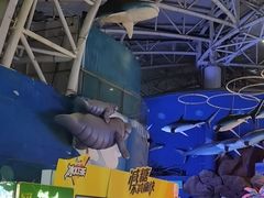 -烟台海昌鲸鲨海洋公园