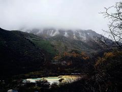 -黄龙山原始森林景区