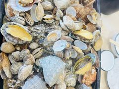 蒸扇贝-北方饺子王·海肠捞饭·海鲜锅(山大店)