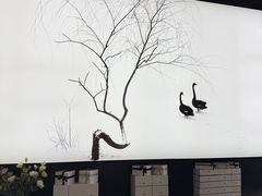 -BLACKSWAN黑天鹅(环球店)