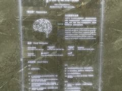 -海马体家庭照相馆(广州正佳广场店)