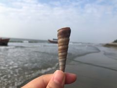 -万尾金滩