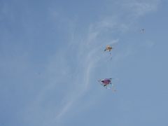 -不觉晓CAMPING(上海迪士尼营地店)