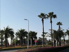 -黄金海岸环岛路