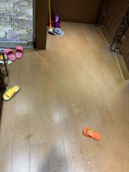 -卡通尼·Safari非洲探索乐园·生日会(金桥国际商业广场店)