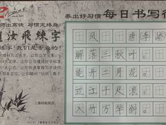 -赵汝飞练字硬笔书法(静安大融城校区)