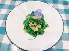 蛏子菠菜-紫光园(劲松店)