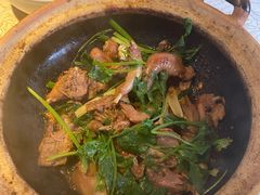 沙姜乳鸽-五邑人家(江门店)