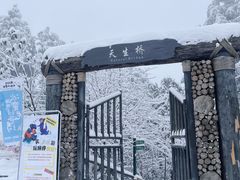 -龙苍沟森林公园