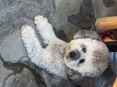 iphone_upload_pic-北京水岸山吧度假村(雁栖镇店)