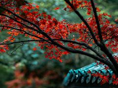-方岩风景区