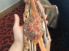 -御唐府海珊瑚主题餐厅