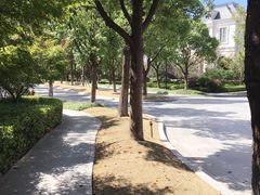 -上海玫瑰园度假酒店