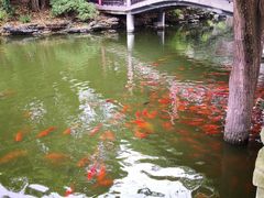 -华雅花园大酒店