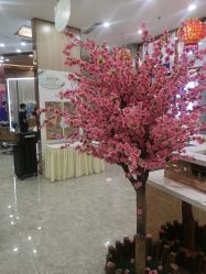 -Meng Lang 梦郎白金店