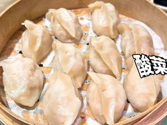 东北酸菜大蒸饺-蘸小院铁锅炖·蘸酱菜·东北菜(怀远门店)
