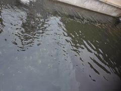 -天源渔港农庄