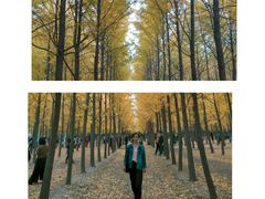 -汉景帝阳陵博物院