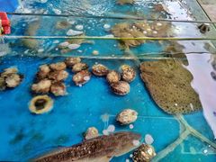 -金渔村海鲜烧烤大排档