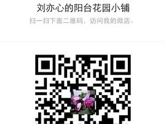 -银鲨海鲜烤肉火锅自助餐厅(五星店)