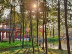 -顺峰山公园