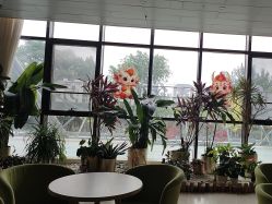 -北京家恩德仁医院-妇产科