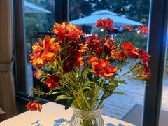 -一棵树·意大利西餐厅One Tree(新城店)