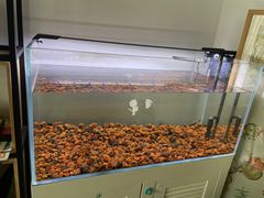 -她说户外烧烤团建(西湖店)