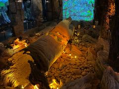 -乐山乌木文化博览苑