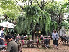 -Fern Forest Cafe