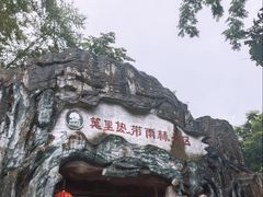 -莫里热带雨林景区