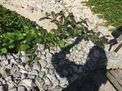 -白沙湾海滩