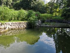 -成都市活水公园