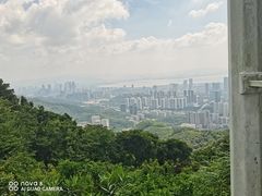 -南山图书馆(常兴路店)