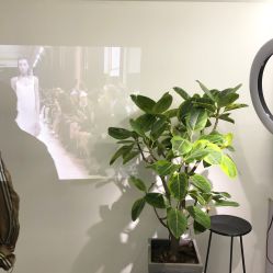 大厅-MVP-专业羽毛无痕接发
