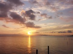 -崖口云吞(中堡店)