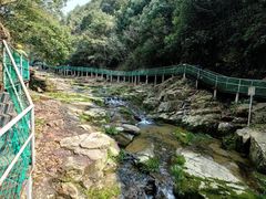 -四明山国家森林公园