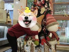 -天宇菲尔德·花园西餐厅·海鲜自助餐
