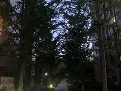 -香港国际机场