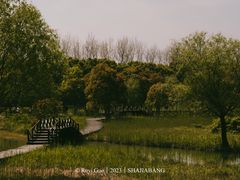 -沙家浜风景区