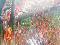 -南国桃园旅游度假区