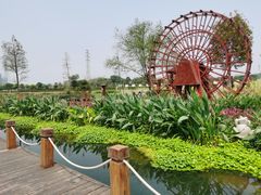 -那考河湿地公园