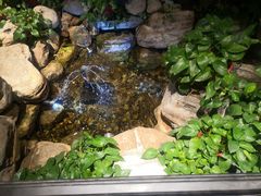 -清真·京华源铜锅涮肉(丰庆店)